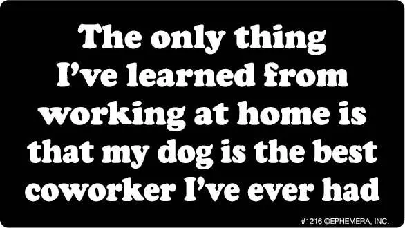 Ephemera - Sticker-Dog Is The Best Coworker 1