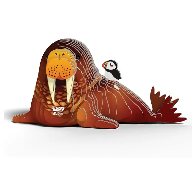 Eugy Walrus 3D Cardboard Model Kit 1