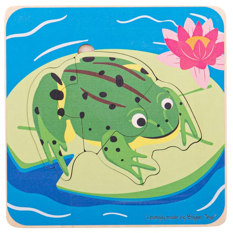 Frog Life Cycle Layer Puzzle 1