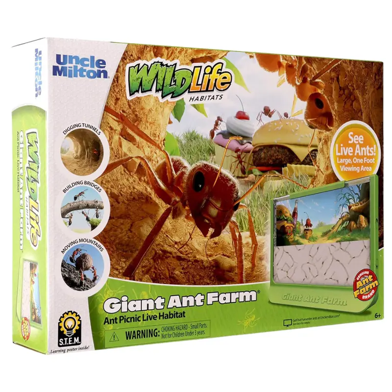 Giant Ant Farm Kit 1
